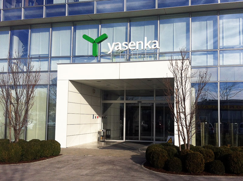 Yasenka , edukacija IAHK