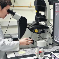 Transformers Roadshow, Islamske razvojna banka (IsDB)