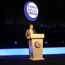 Aldin Dugonjić, Svjetski halal summit